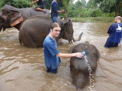 Just washing my elephant...