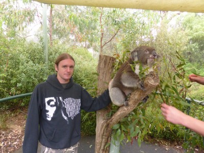 Stroking a Koala!