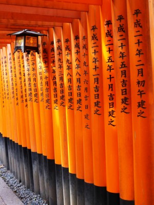Endless torii
